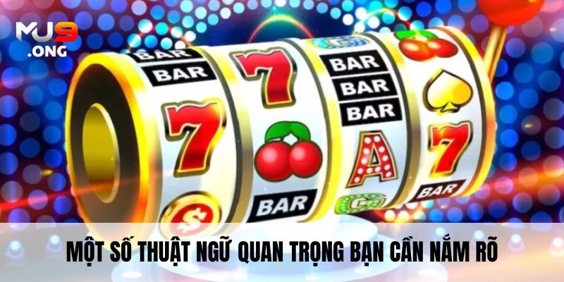 Một số thuật ngữ quan trọng bạn cần nắm rõ