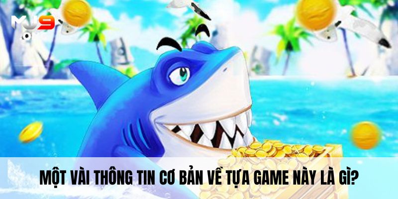 Những lời khuyên hữu ích đối với newbie được tổng hợp từ nhiều cao thủ