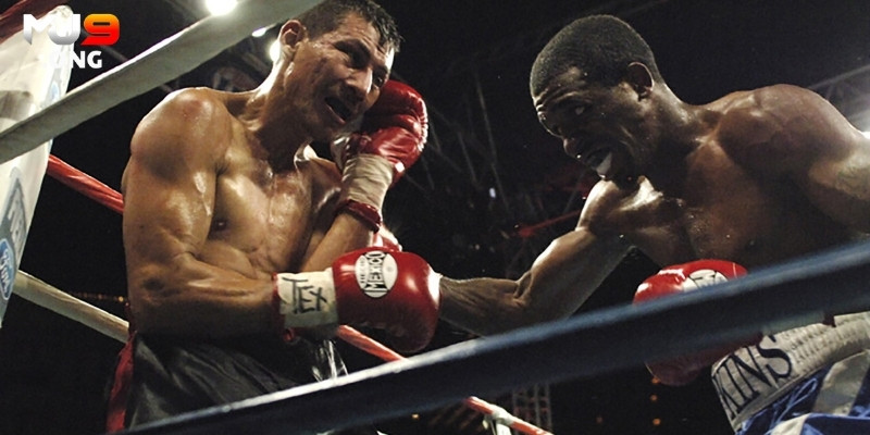 Nắm vững các kinh nghiệm để chiến thắng cá cược Boxing trực tuyến