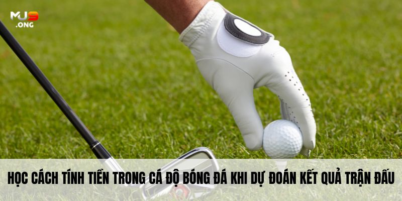 Sức hút hấp dẫn người tham gia