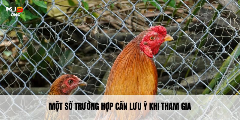 Một số trường hợp cần lưu ý khi tham gia