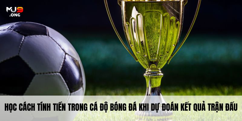 Học cách tính tiền trong cá độ bóng đá khi dự đoán kết quả trận đấu