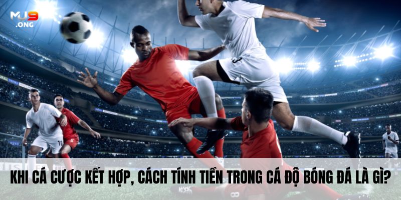 Khi cá cược kết hợp, cách tính tiền trong cá độ bóng đá là gì?