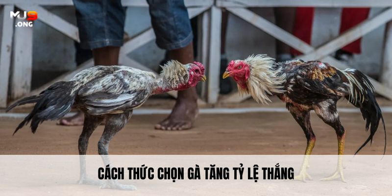 Thông tin cơ bản về môn thể thao đầy hấp dẫn