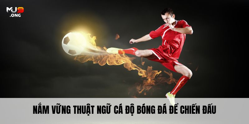 Nắm vững thuật ngữ cá độ bóng đá để chiến đấu