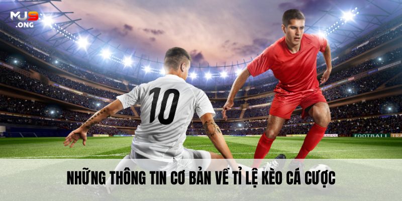 Những thông tin cơ bản về tỉ lệ kèo cá cược