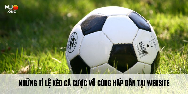 Những tỉ lệ kèo cá cược vô cùng hấp dẫn tại website